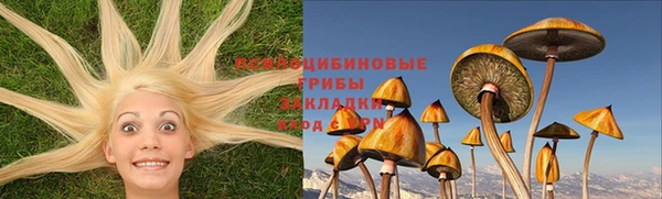 дмт Баксан