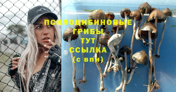 дмт Баксан