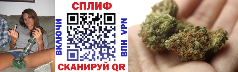 хочу наркоту  Гулькевичи  Бошки марихуана индика 